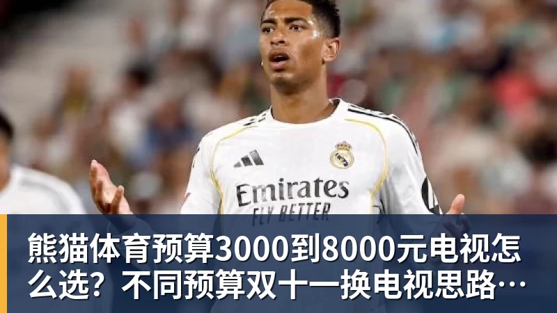 熊猫体育预算3000到8000元电视怎么选？不同预算双十一换电视思路看这篇